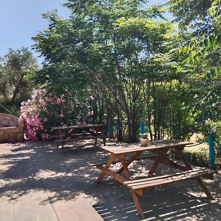 Finca Los Villegas كاستريل المظهر الخارجي الصورة