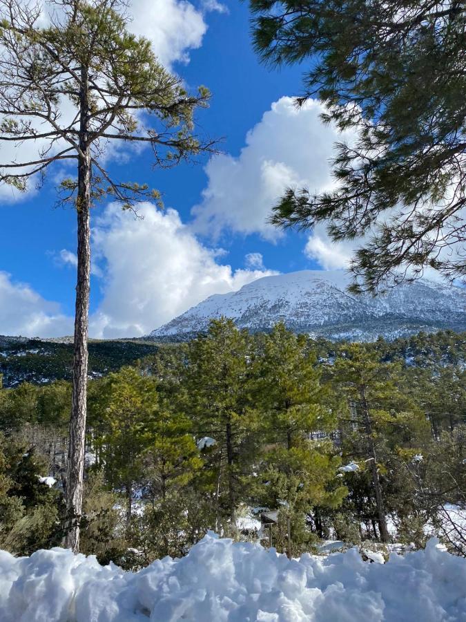 Finca Los Villegas كاستريل المظهر الخارجي الصورة